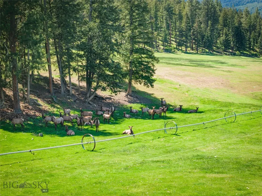 406 Chief Joseph Trail Darby MT 59829