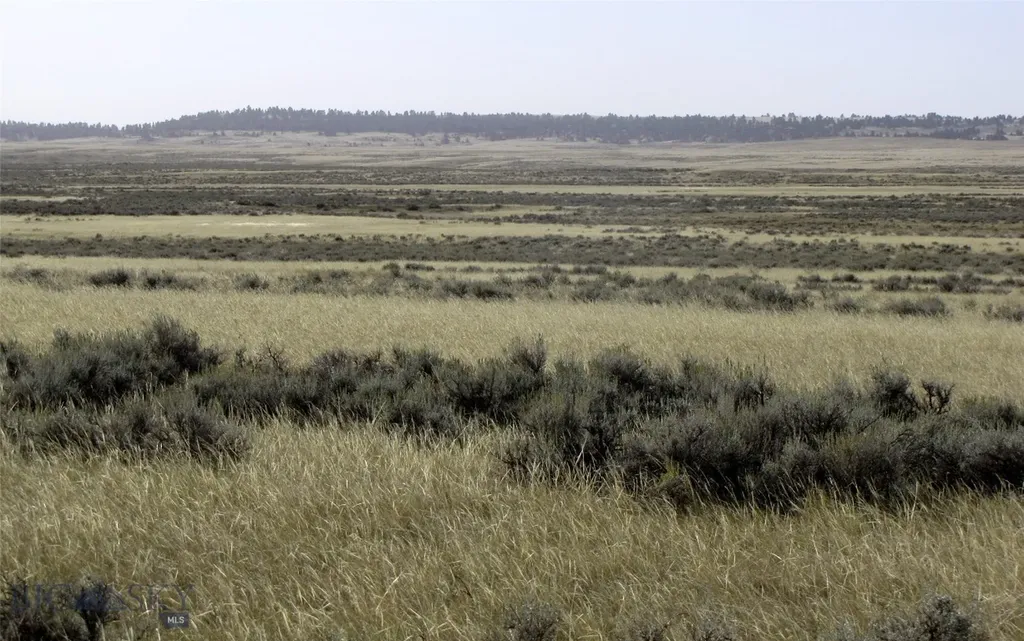 Tbd Lindstrom Road Shepherd MT 59079