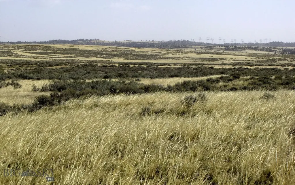 Tbd Lindstrom Road Shepherd MT 59079