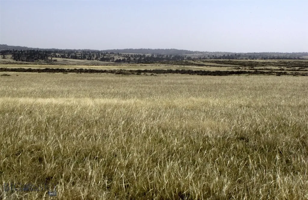 Tbd Lindstrom Road Shepherd MT 59079