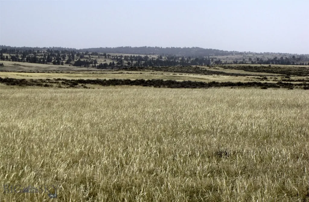 Tbd Lindstrom Road Shepherd MT 59079
