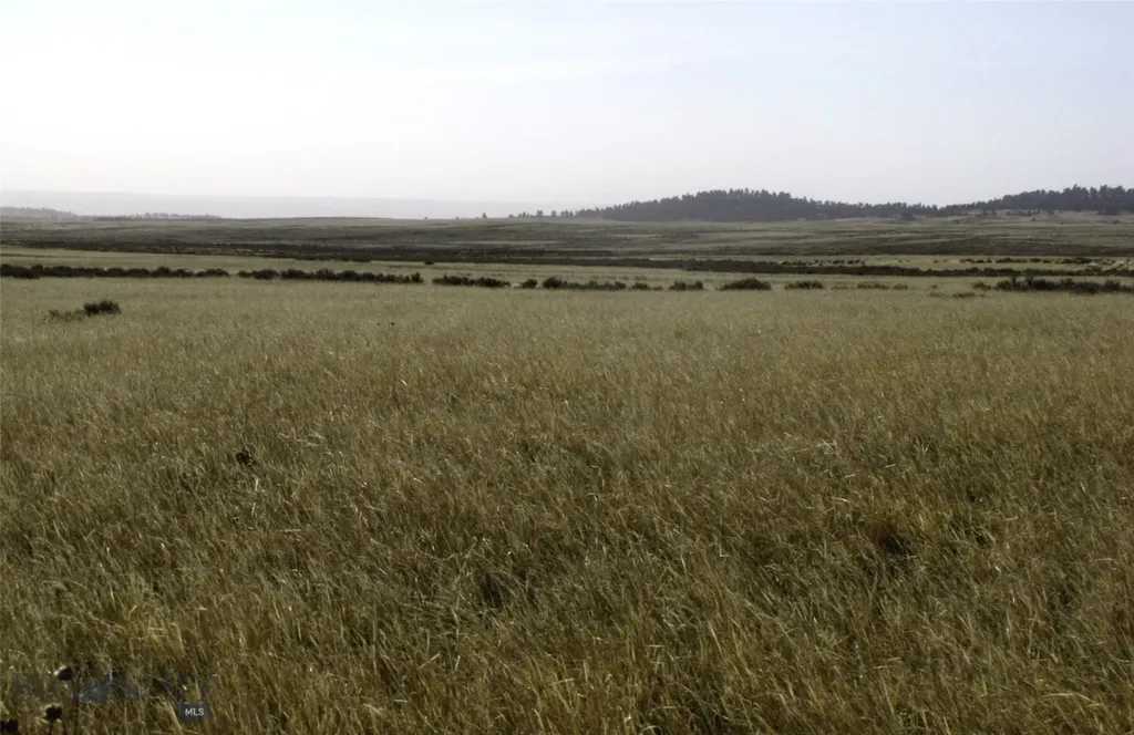 Tbd Lindstrom Road Shepherd MT 59079