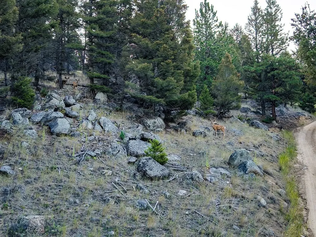 31 Rogers Lane Boulder MT 59632