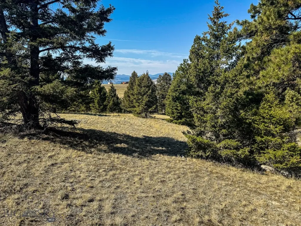 31 Rogers Lane Boulder MT 59632