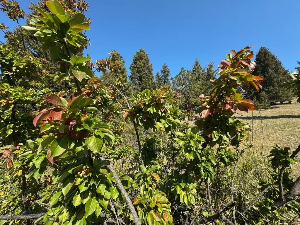 31 Rogers Lane Boulder MT 59632