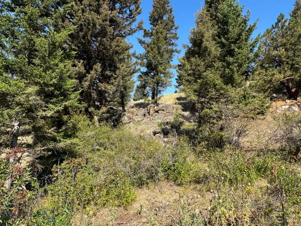 31 Rogers Lane Boulder MT 59632