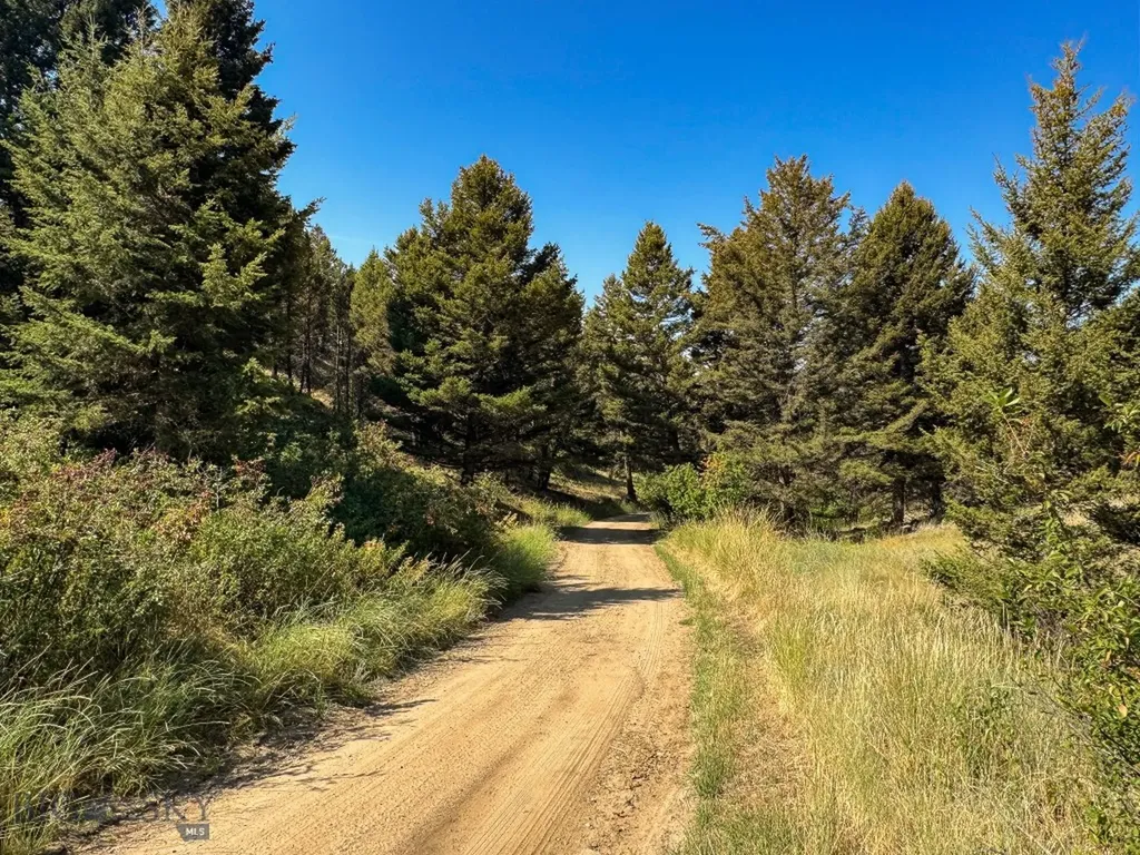 31 Rogers Lane Boulder MT 59632