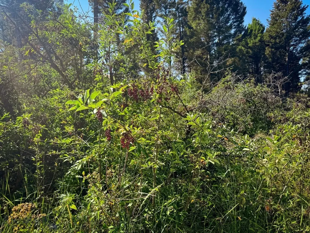 31 Rogers Lane Boulder MT 59632