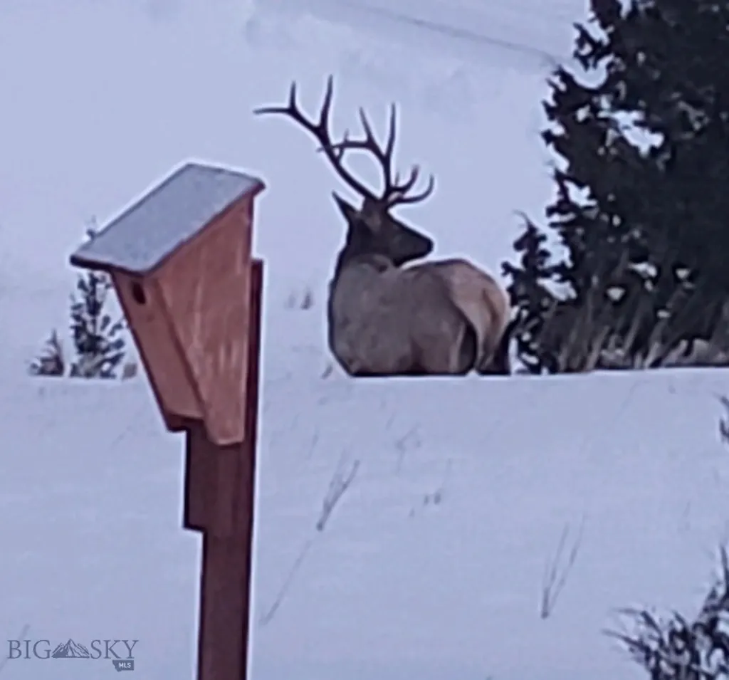31 Rogers Lane Boulder MT 59632