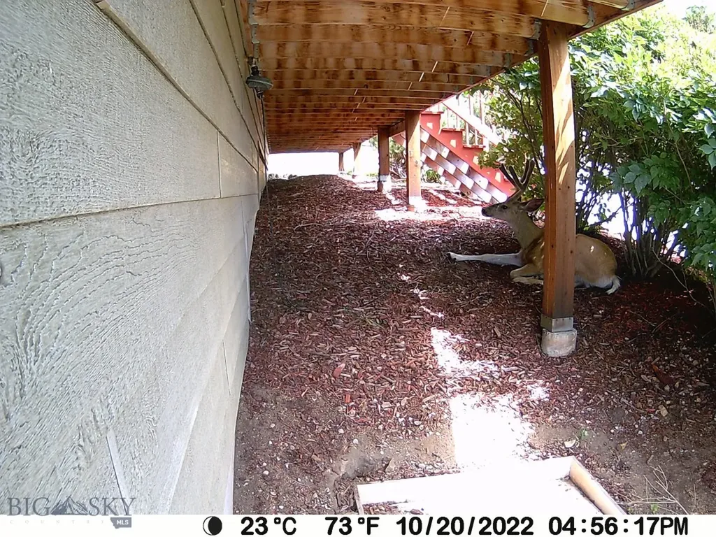 31 Rogers Lane Boulder MT 59632