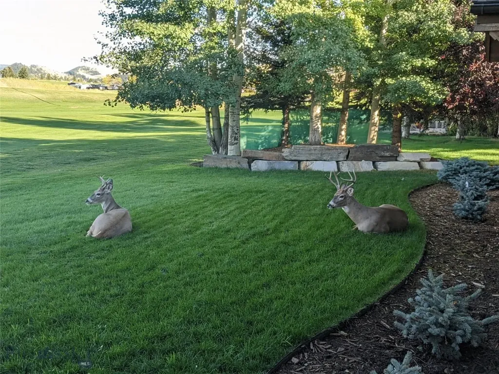 3107 Augusta Drive Bozeman MT 59715