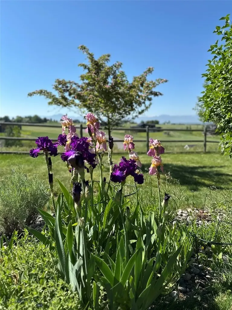 330 Evening Star Lane Bozeman MT 59715