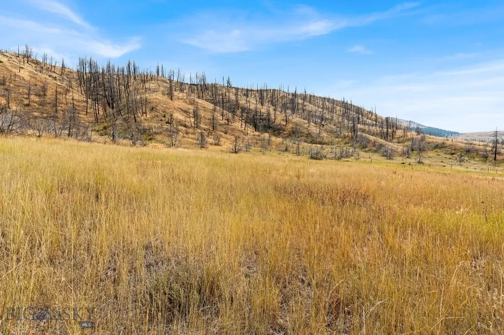Tbd Horseshoe Hills Hollow Three Forks MT 59752