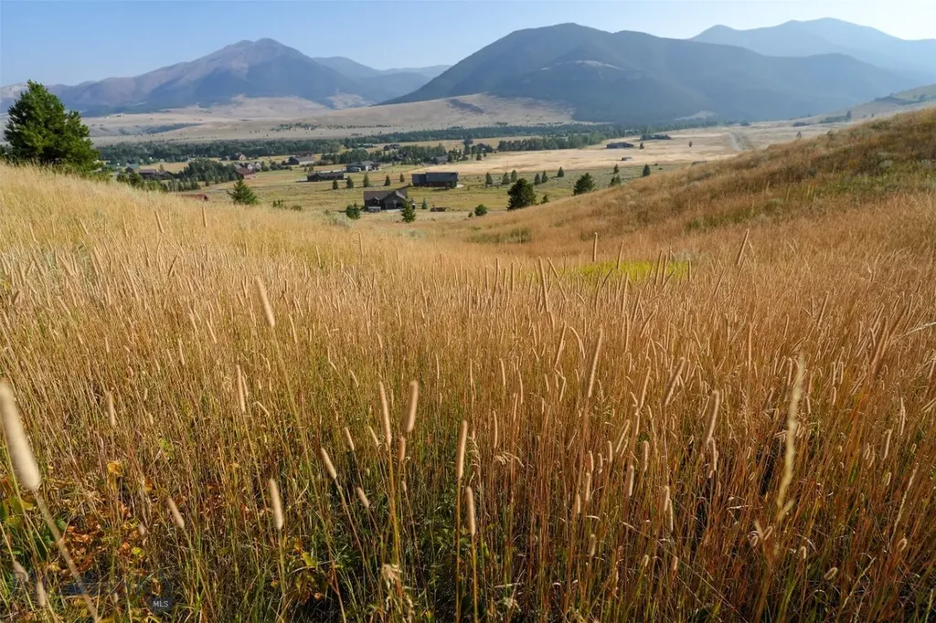 Nhn Wilderness Lane Red Lodge MT 59068