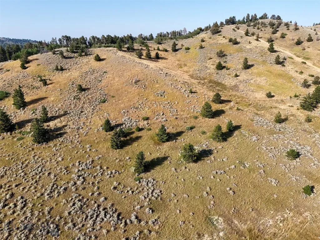 Nhn Wilderness Lane Red Lodge MT 59068