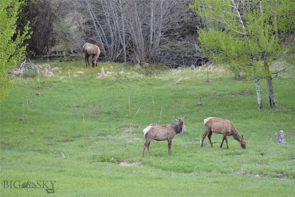 8407 Little Gully Run Bozeman MT 59715