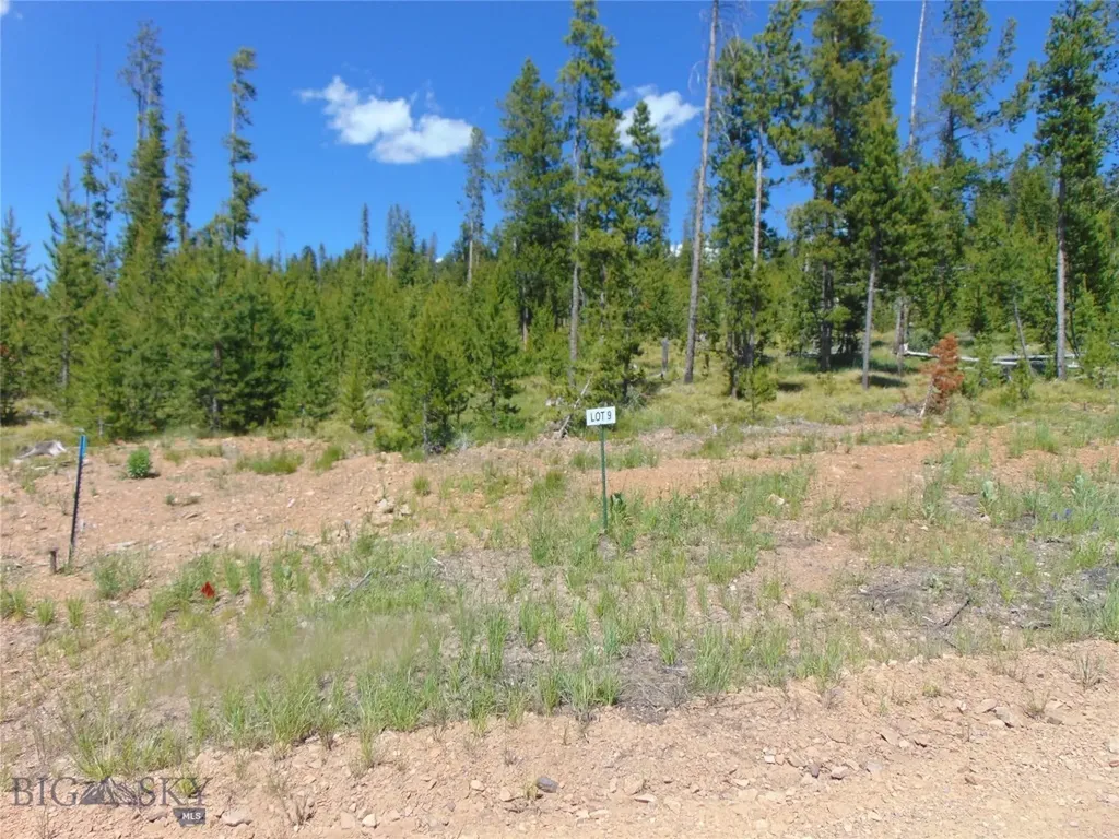 Nhn Covellite Lane Anaconda MT 59711