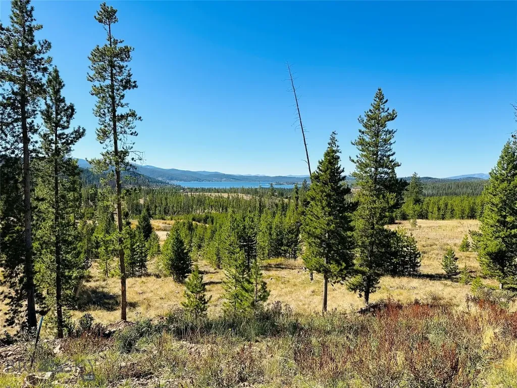 Nhn Covellite Lane Anaconda MT 59711