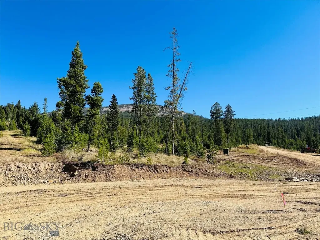 Nhn Covellite Lane Anaconda MT 59711