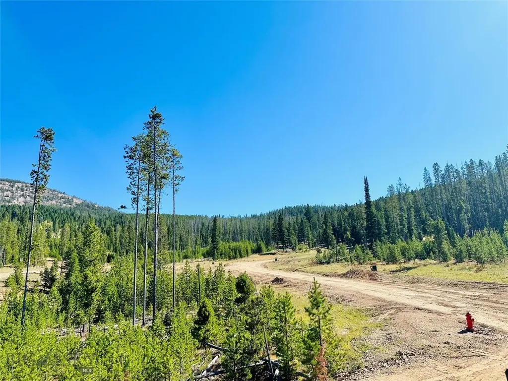 Nhn Covellite Lane Anaconda MT 59711