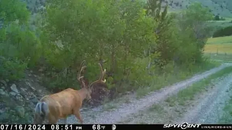 1131 Outlaw Trail Anaconda MT 58711