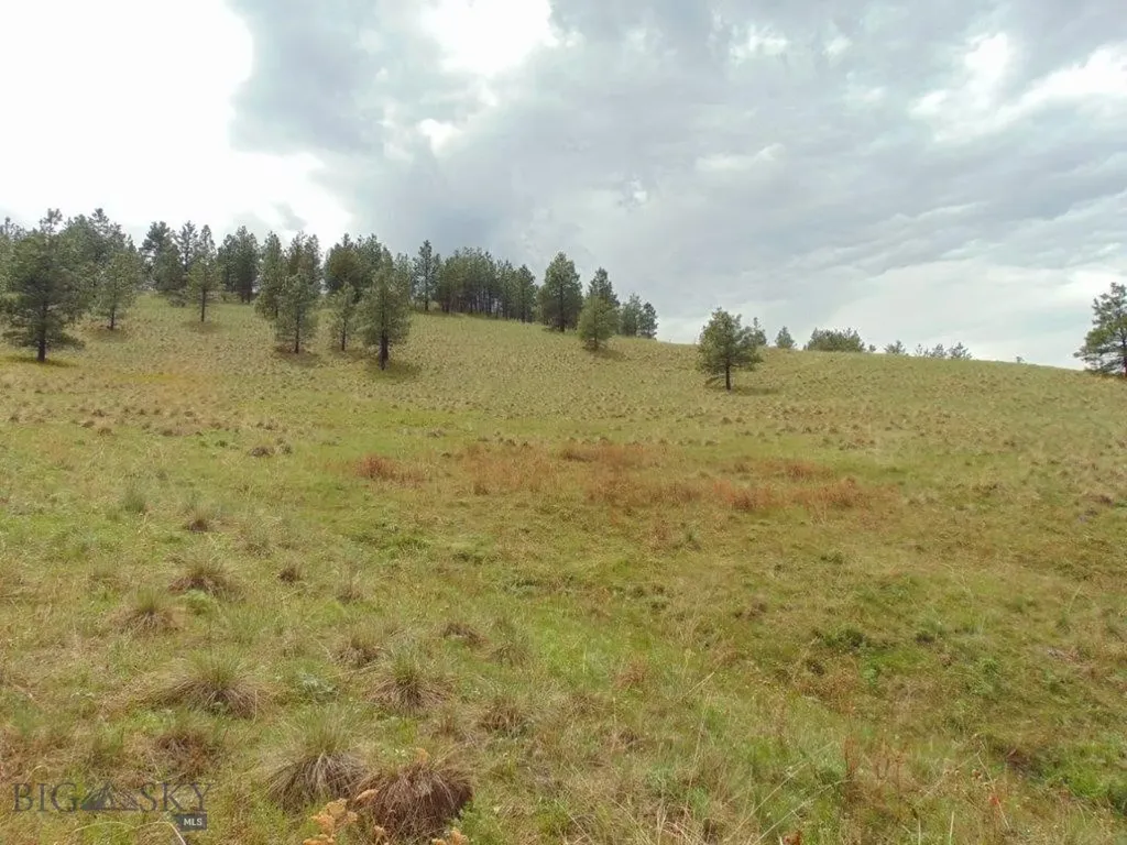 15 Shady Spring Cascade MT 59421