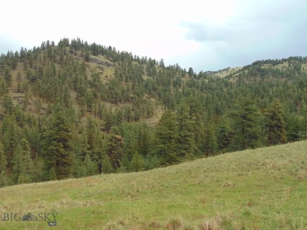 15 Shady Spring Cascade MT 59421