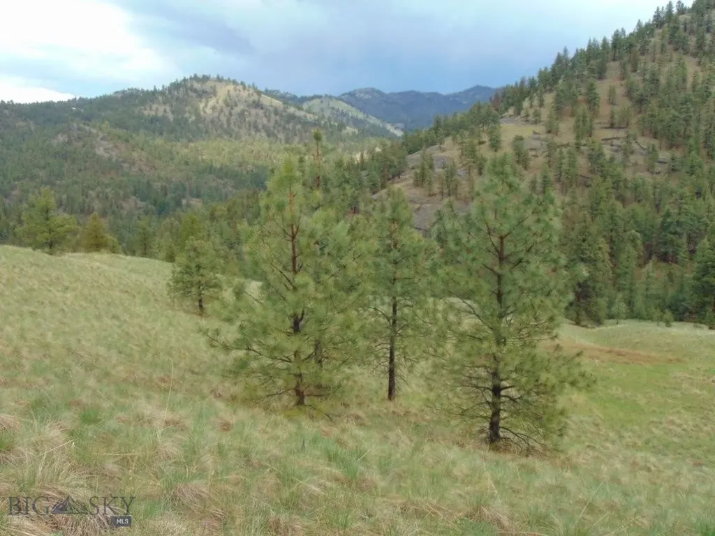 15 Shady Spring Cascade MT 59421