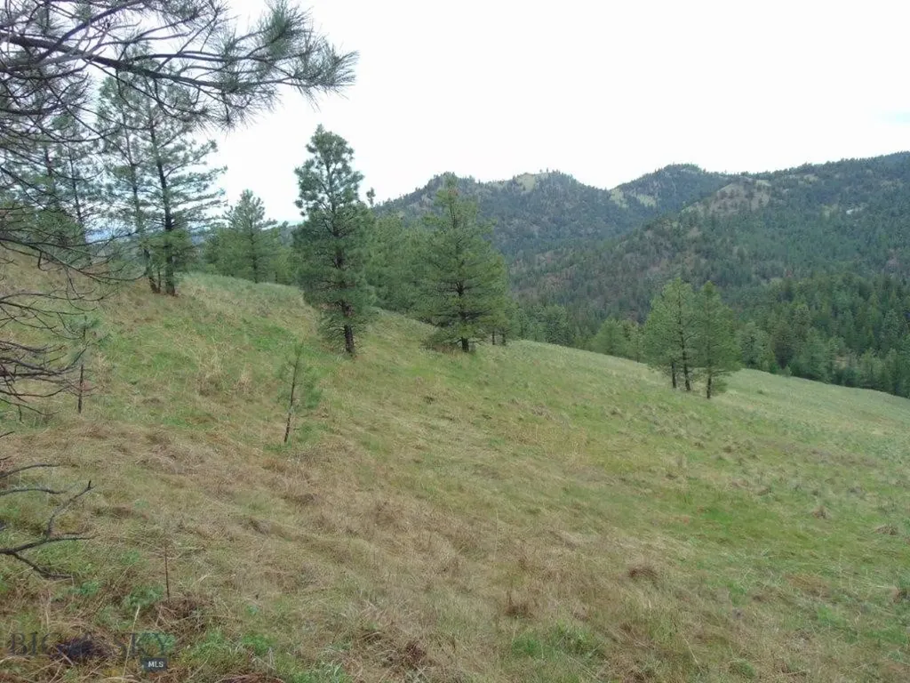 15 Shady Spring Cascade MT 59421