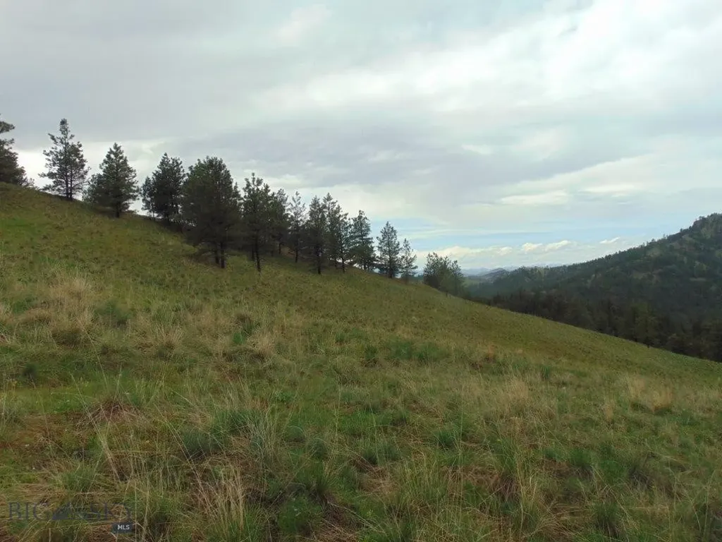 15 Shady Spring Cascade MT 59421