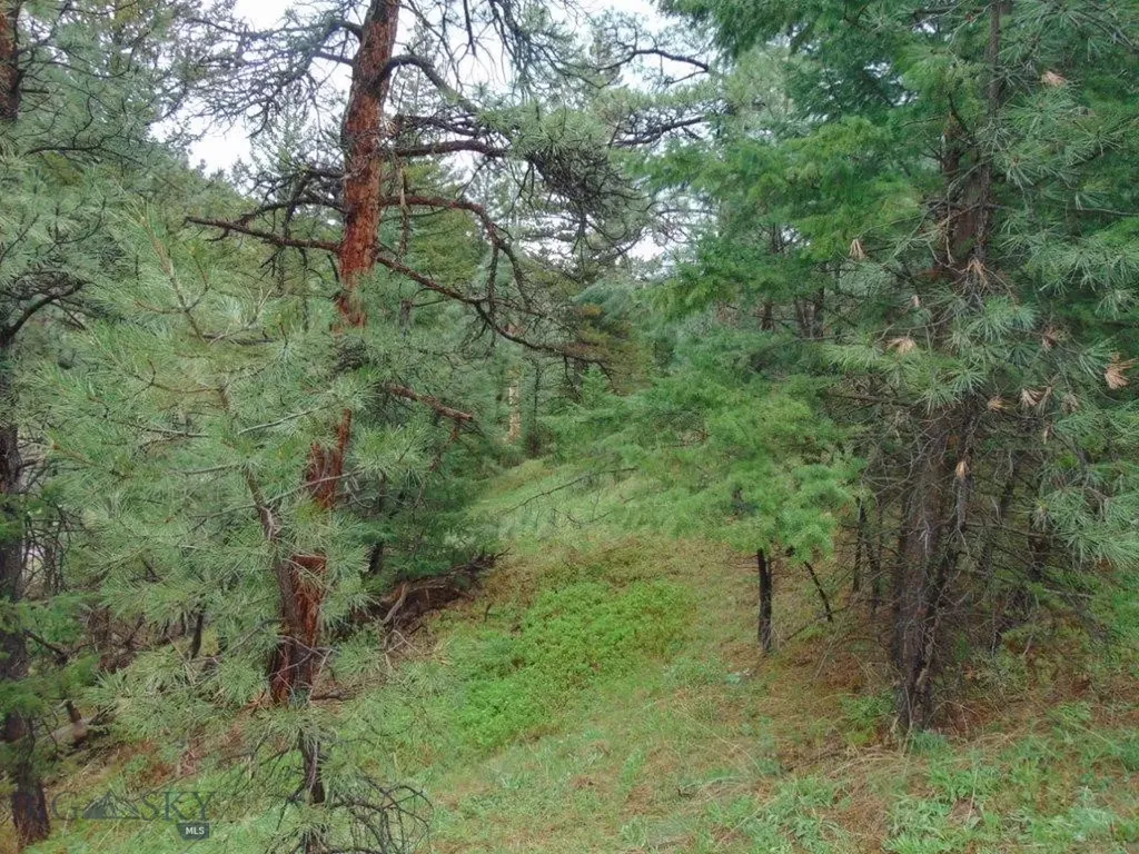 15 Shady Spring Cascade MT 59421