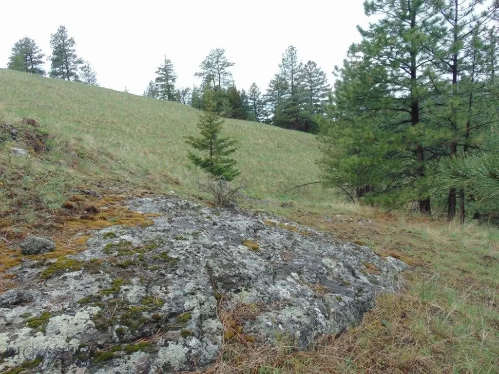 15 Shady Spring Cascade MT 59421