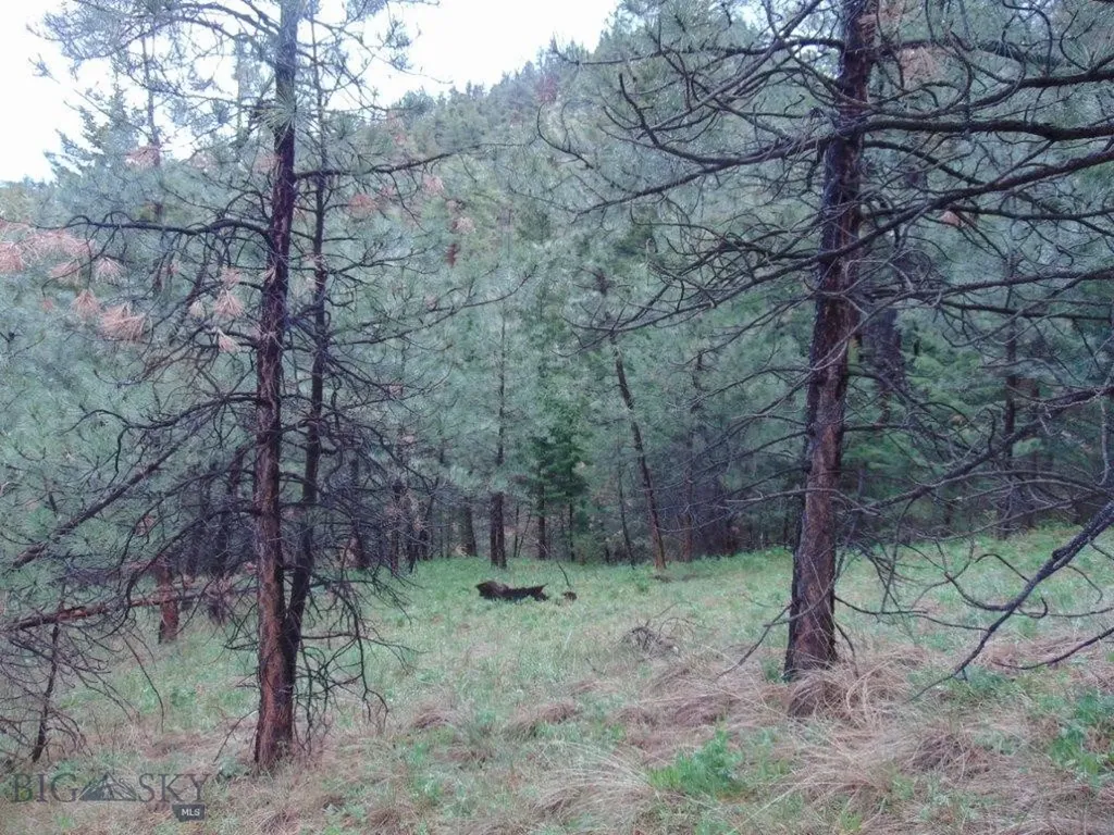 15 Shady Spring Cascade MT 59421