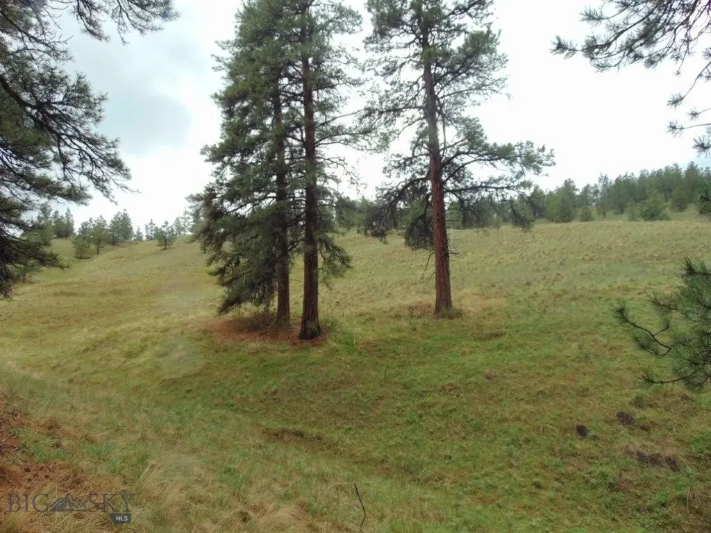 15 Shady Spring Cascade MT 59421