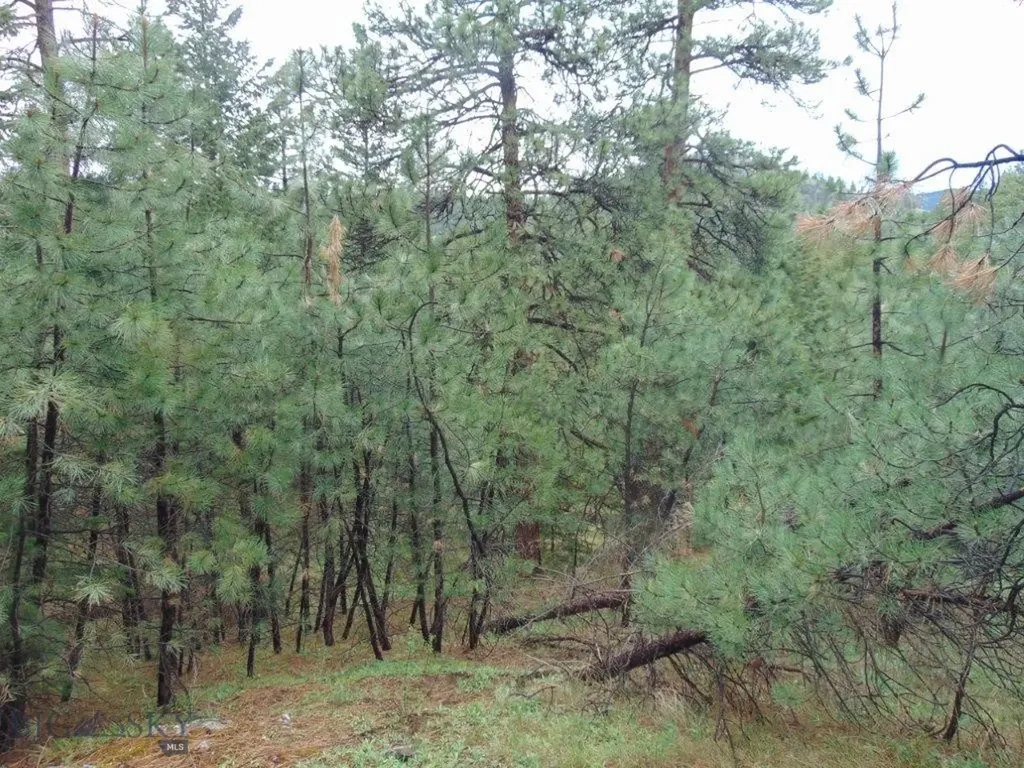 15 Shady Spring Cascade MT 59421