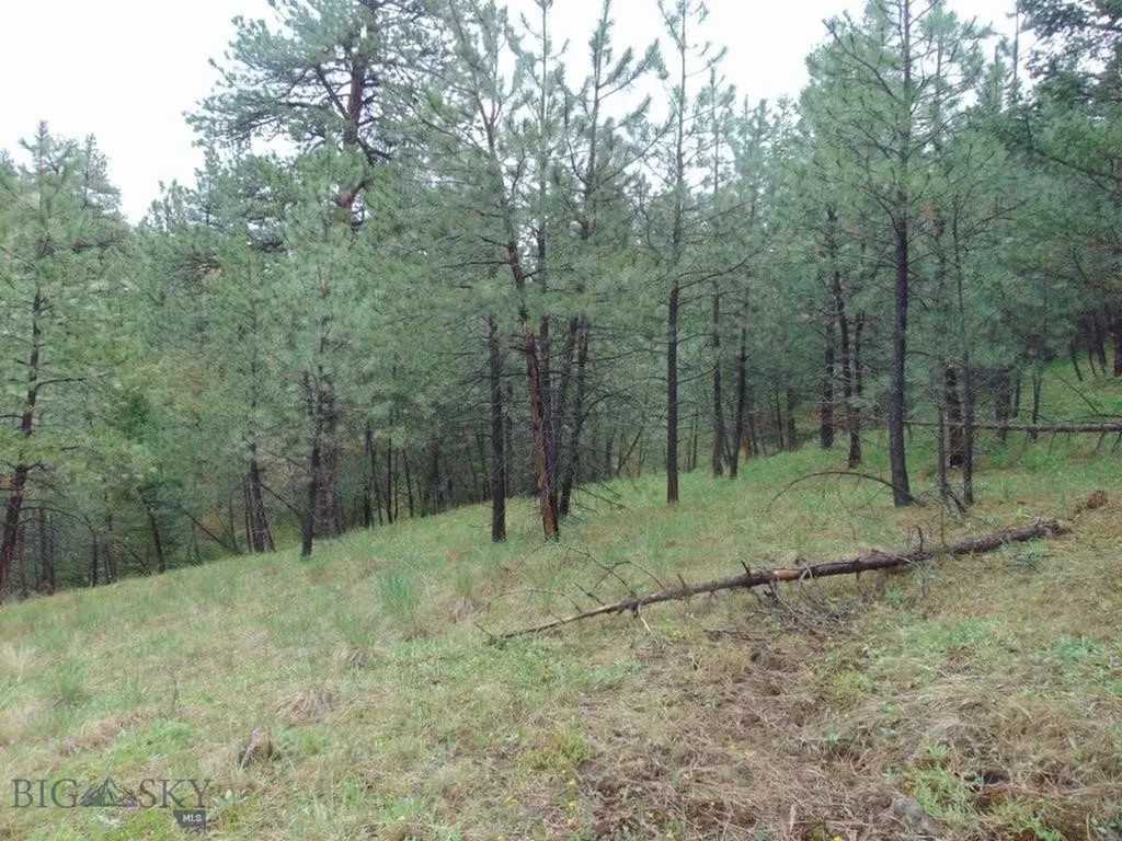 15 Shady Spring Cascade MT 59421