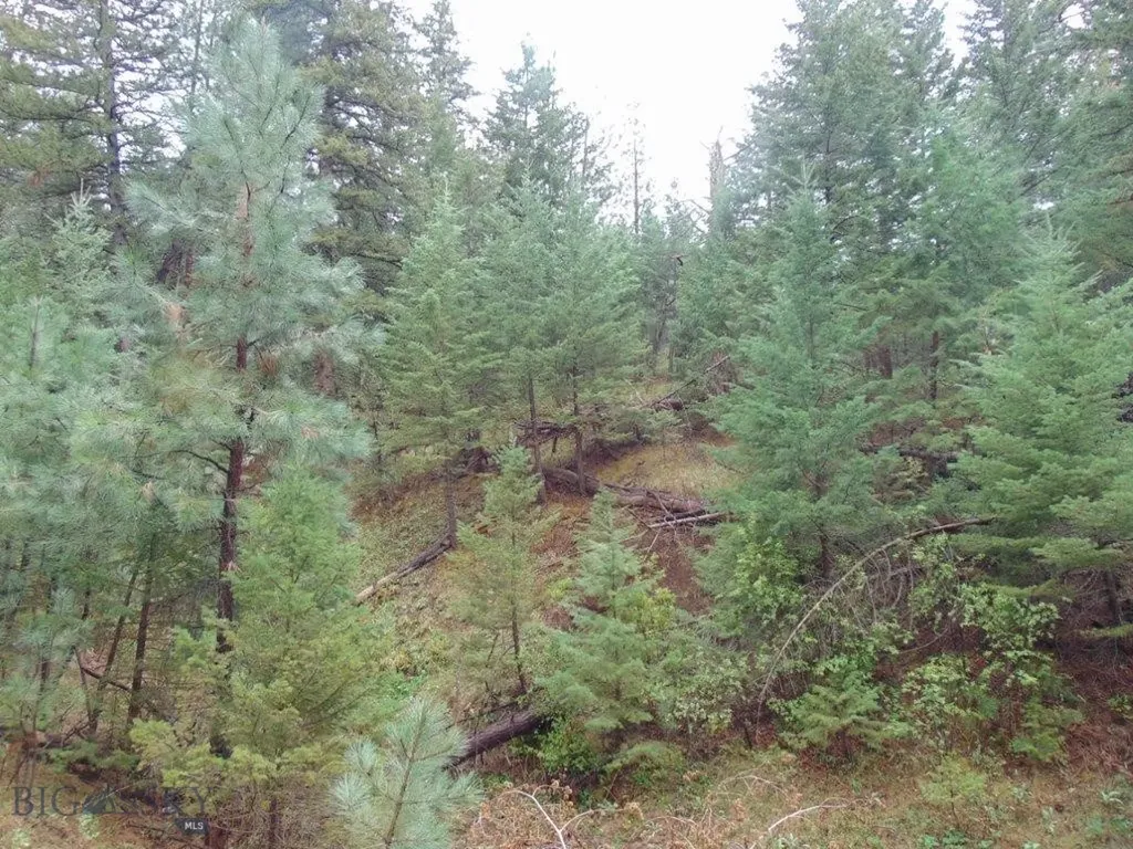 15 Shady Spring Cascade MT 59421