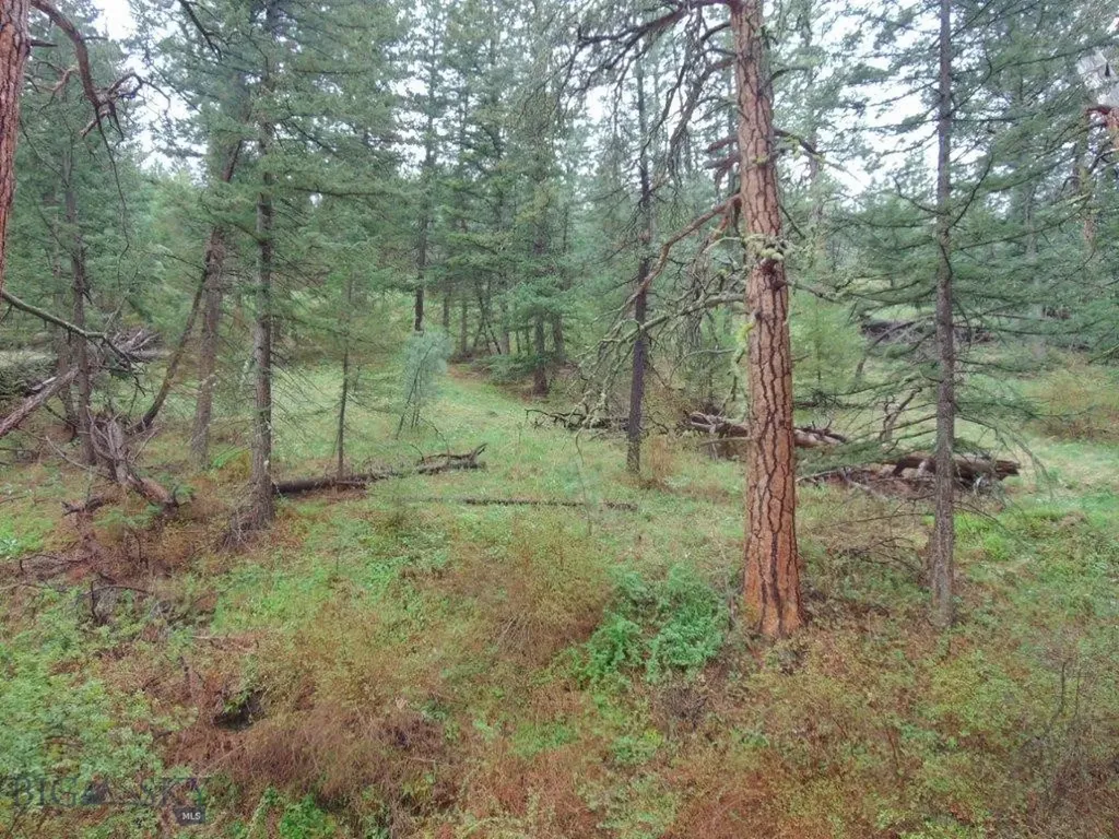 15 Shady Spring Cascade MT 59421