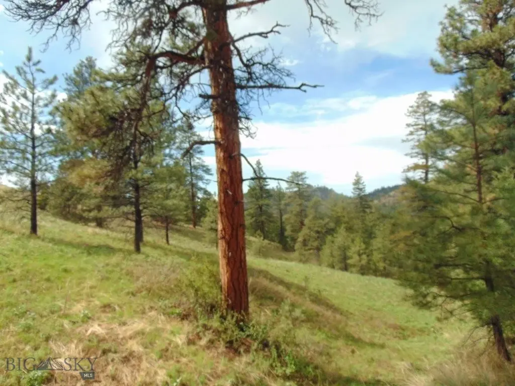 15 Shady Spring Cascade MT 59421