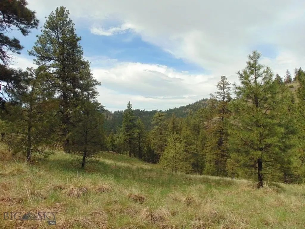 15 Shady Spring Cascade MT 59421