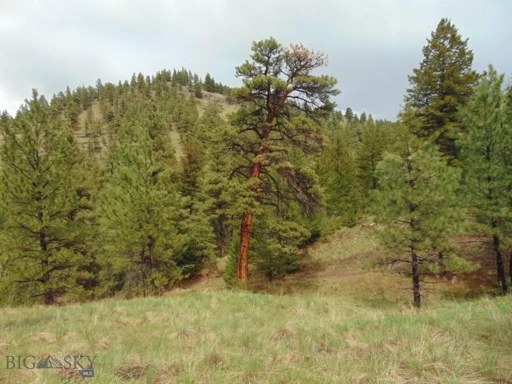 15 Shady Spring Cascade MT 59421