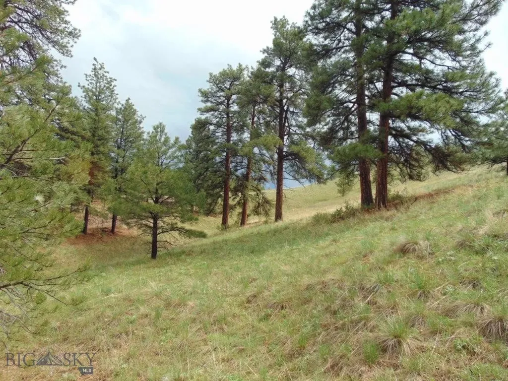 15 Shady Spring Cascade MT 59421