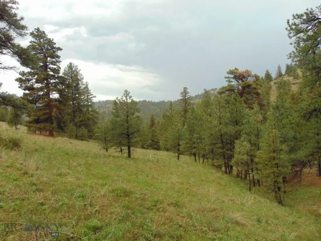 15 Shady Spring Cascade MT 59421