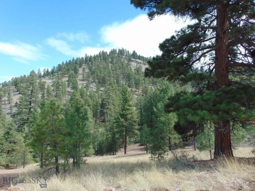 15 Shady Spring Cascade MT 59421