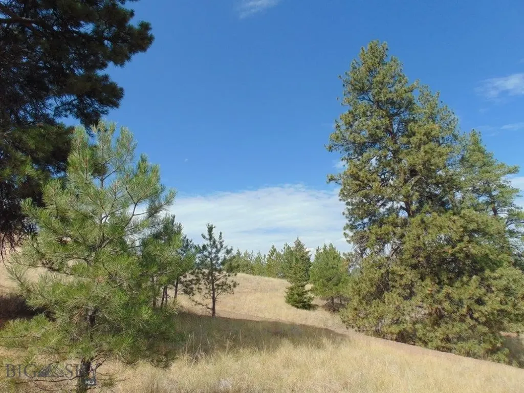 15 Shady Spring Cascade MT 59421