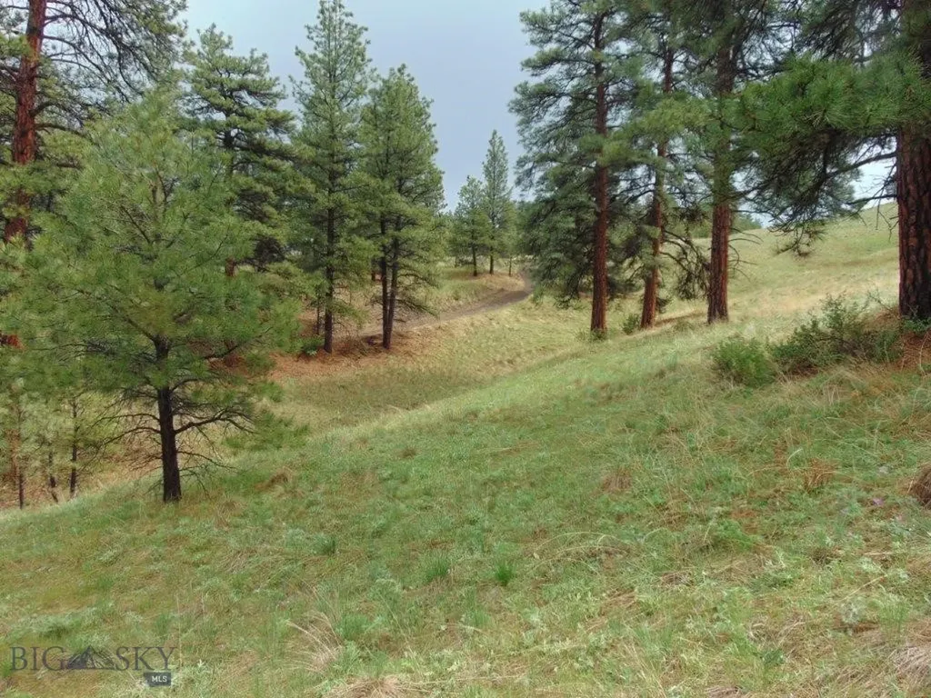 15 Shady Spring Cascade MT 59421