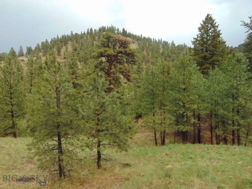 15 Shady Spring Cascade MT 59421