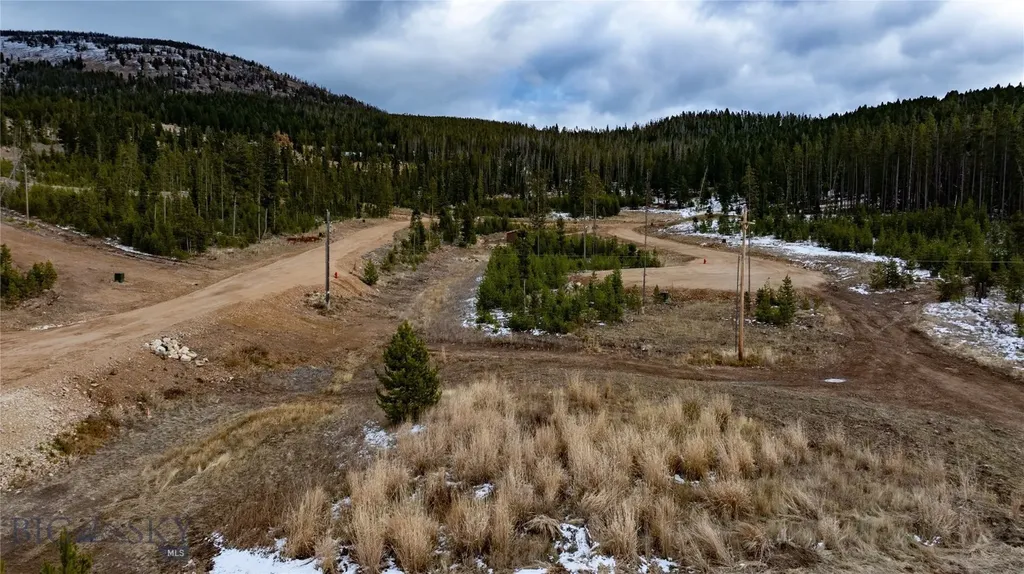 Nhn Argentite Lane Anaconda MT 59711