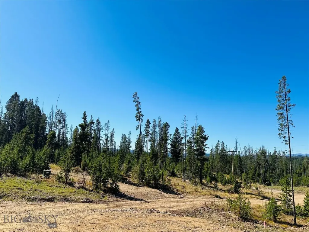 Nhn Argentite Lane Anaconda MT 59711