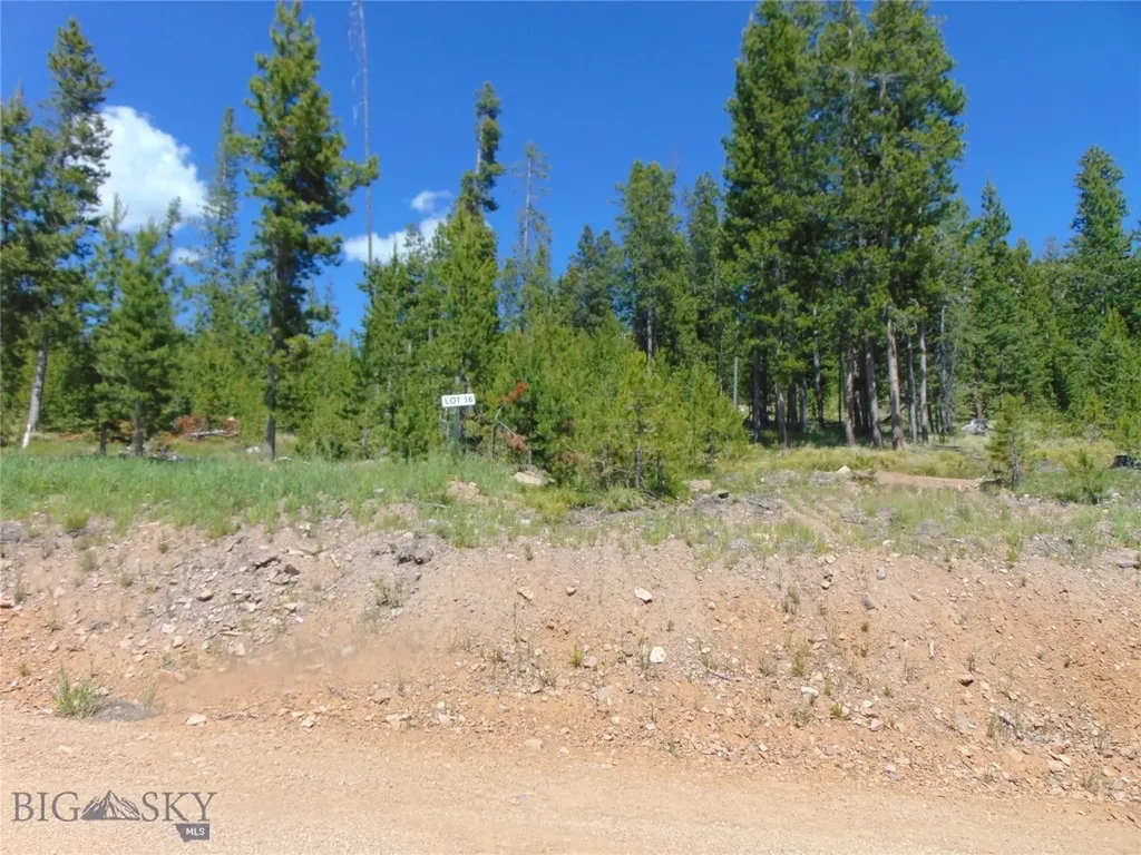 Nhn Argentite Lane Anaconda MT 59711